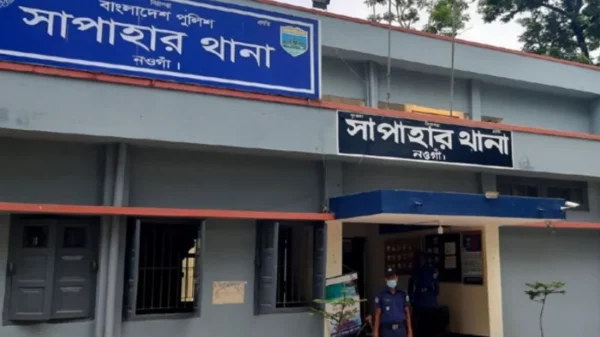টিকটক করতে গিয়ে বিএসএফের হাতে আটক দুই তরুণ, পতাকা বৈঠকে ফেরত